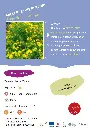 millepetruis-perfore.webp