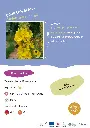 boullon-blanc.webp