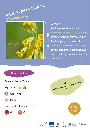 primevere-officinale.webp