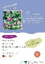 lamier-macule.webp