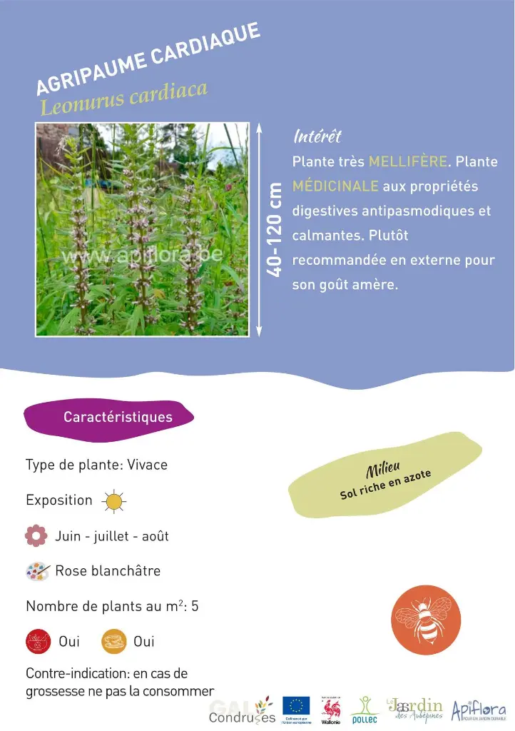 agripaume-cardiiaque.webp