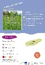agripaume-cardiiaque.webp