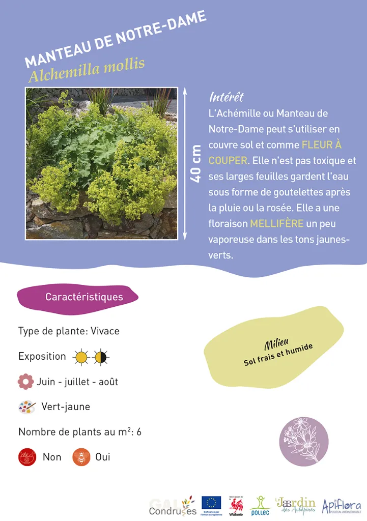 BIO-Fiche A5 Bouquets 2026-4-Manteau Notre-Dame.webp