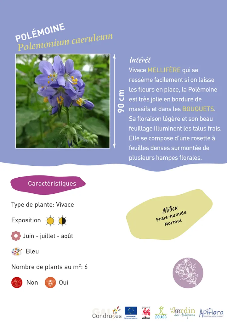 BIO-Fiche A5 Bouquets 2026-1-Polémoine.webp