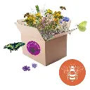 Boîte à Fleurir Pollinisateurs
