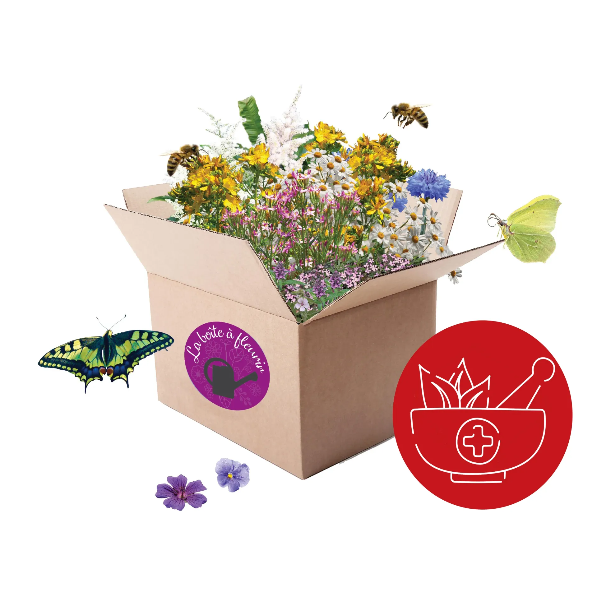 Boite à fleurir "Médicinale" (Petite)