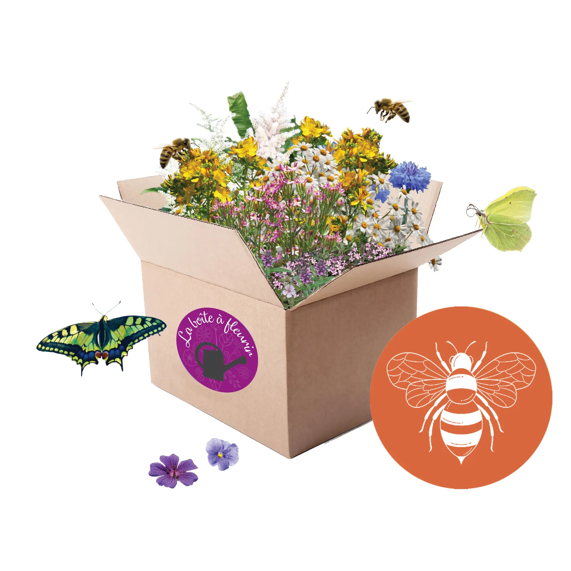 Boite à fleurir "Pollinisateur" (Petite)
