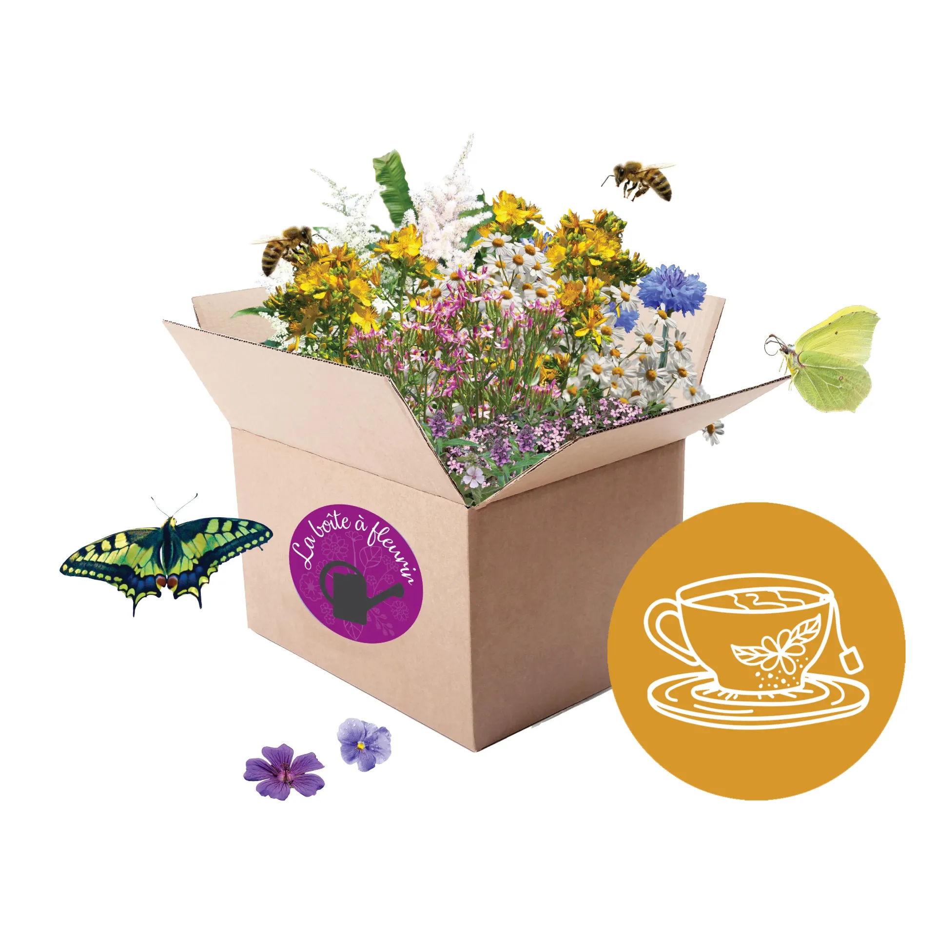 Boite à Fleurir "Comestible" (Petite)