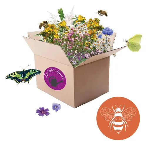 Boîte à Fleurir Pollinisateurs